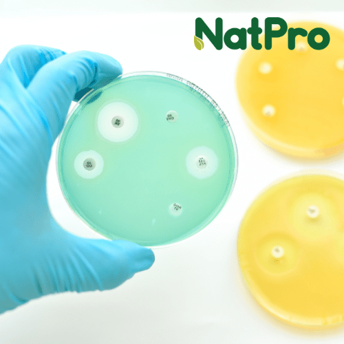 NATPRO